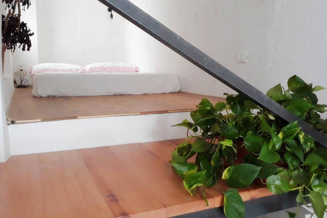 Bed and Breakfast La Controra Manduria Zewnętrze zdjęcie